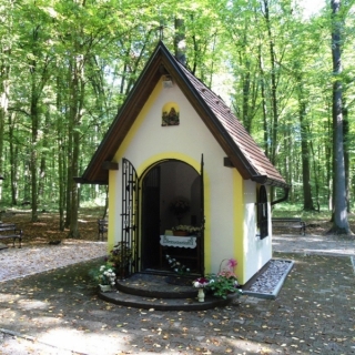 Gunja: misa u svetištu Gospe šumanovačke