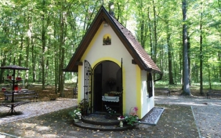 Gunja: misa u svetištu Gospe šumanovačke