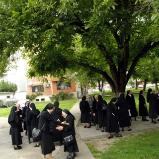 Dan Družbe u Slavonskom Brodu kod Gospe od Brze pomoći