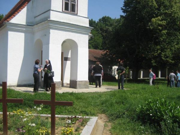 Gunja, lipanj 2014. Gunja, lipanj 2014.